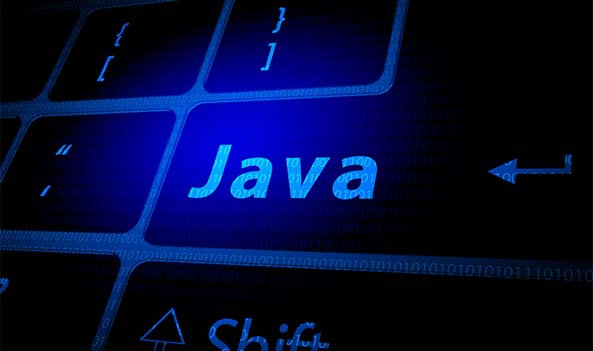 자바(JAVA) 프로그래밍 기초(개발자 입문)